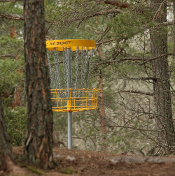 Disc Golf Basket